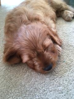 Having fun makes me so sleepy!